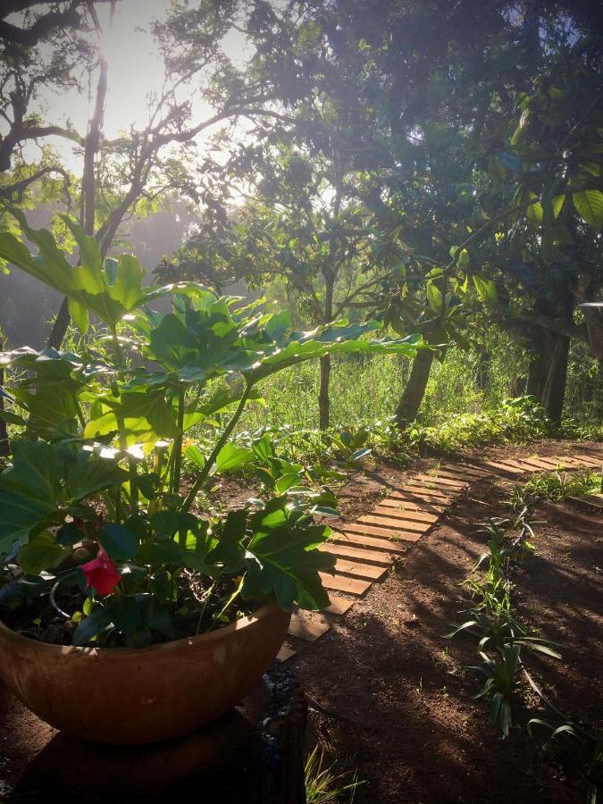 Casa Rural En Medio Del Bosque, El Lance Firgas Екстериор снимка