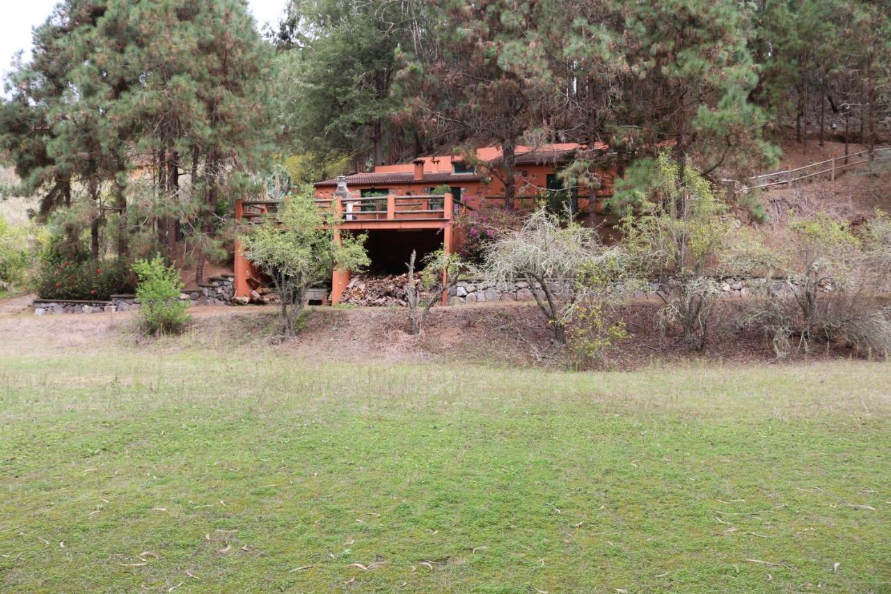Casa Rural En Medio Del Bosque, El Lance Firgas Екстериор снимка