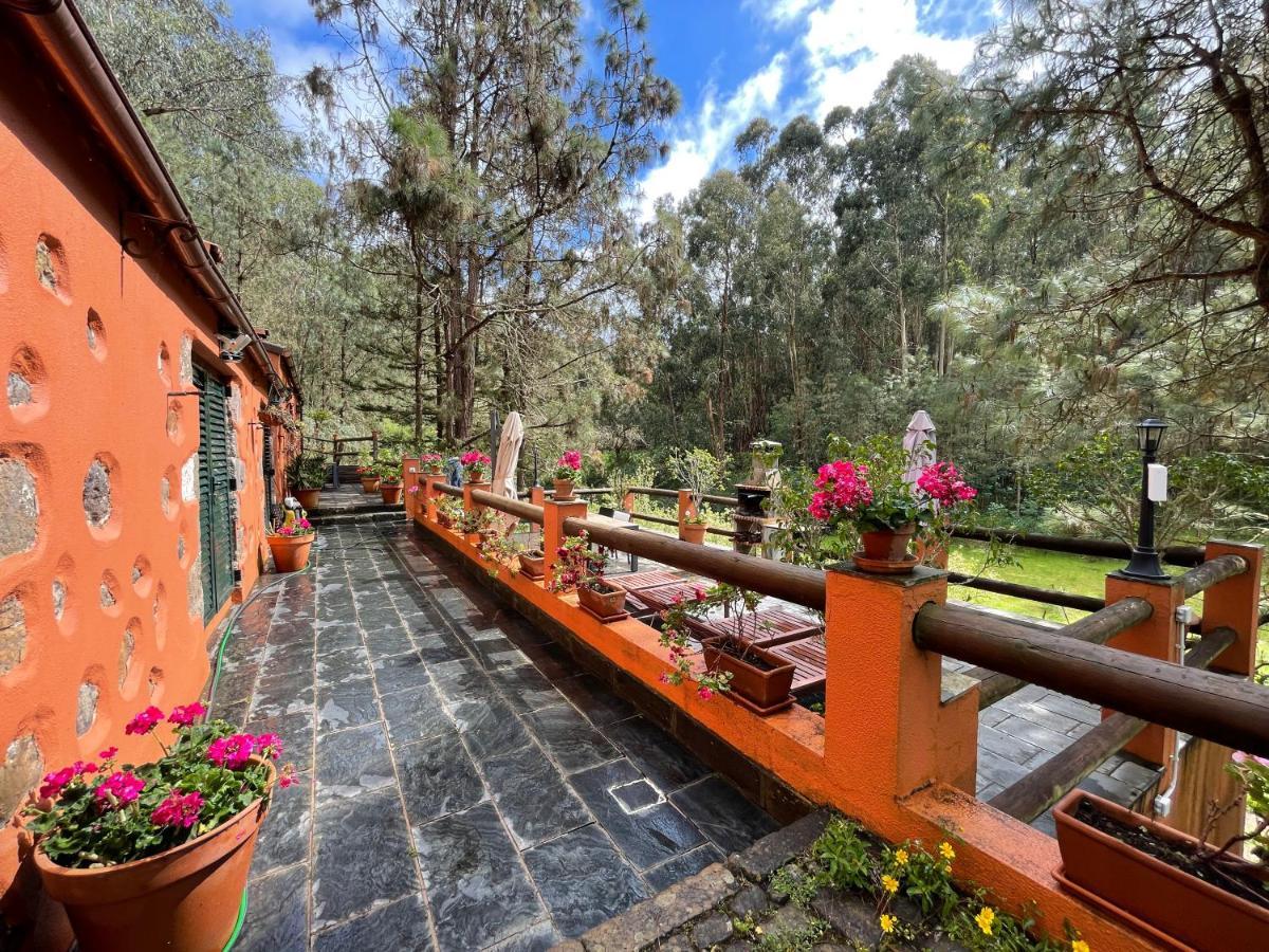 Casa Rural En Medio Del Bosque, El Lance Firgas Екстериор снимка