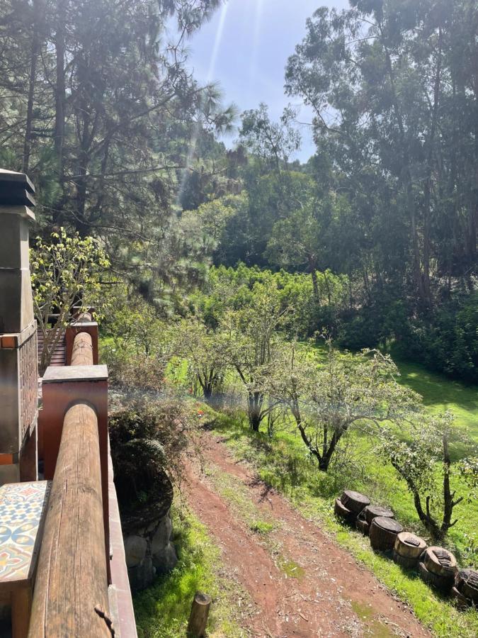 Casa Rural En Medio Del Bosque, El Lance Firgas Екстериор снимка