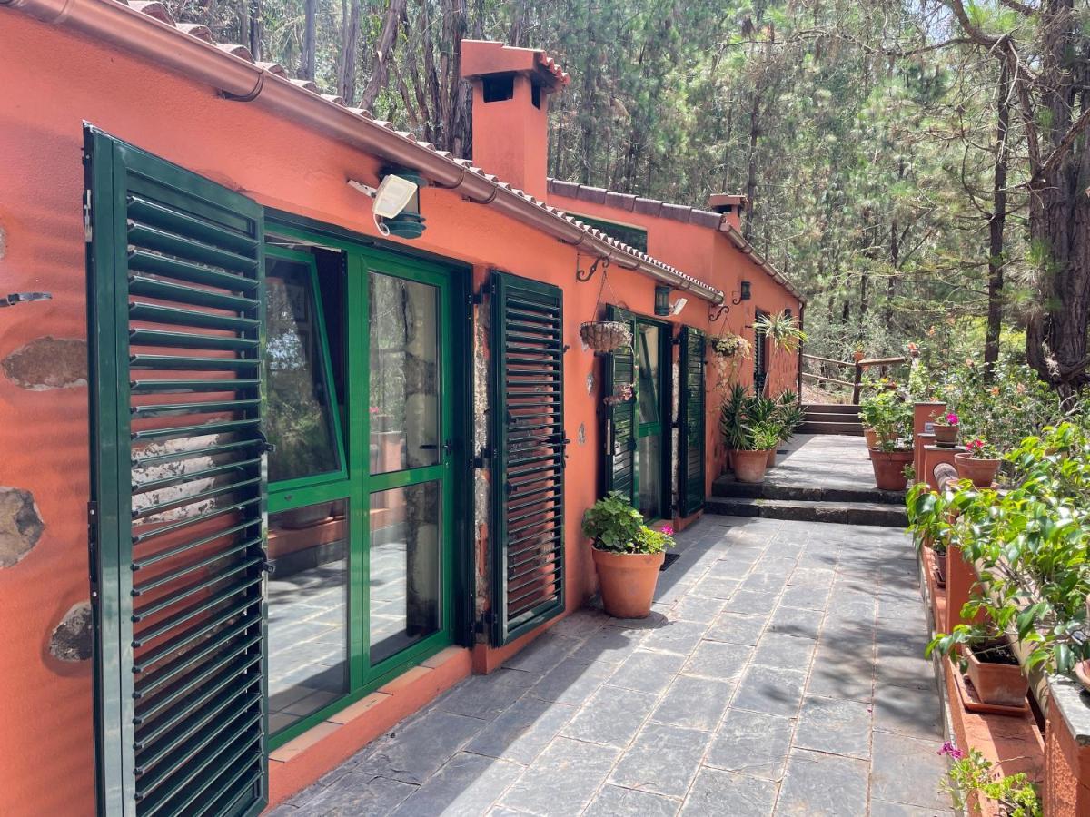 Casa Rural En Medio Del Bosque, El Lance Firgas Екстериор снимка