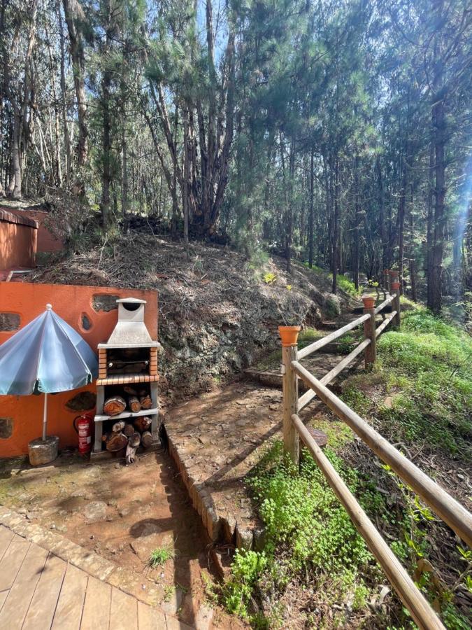 Casa Rural En Medio Del Bosque, El Lance Firgas Екстериор снимка