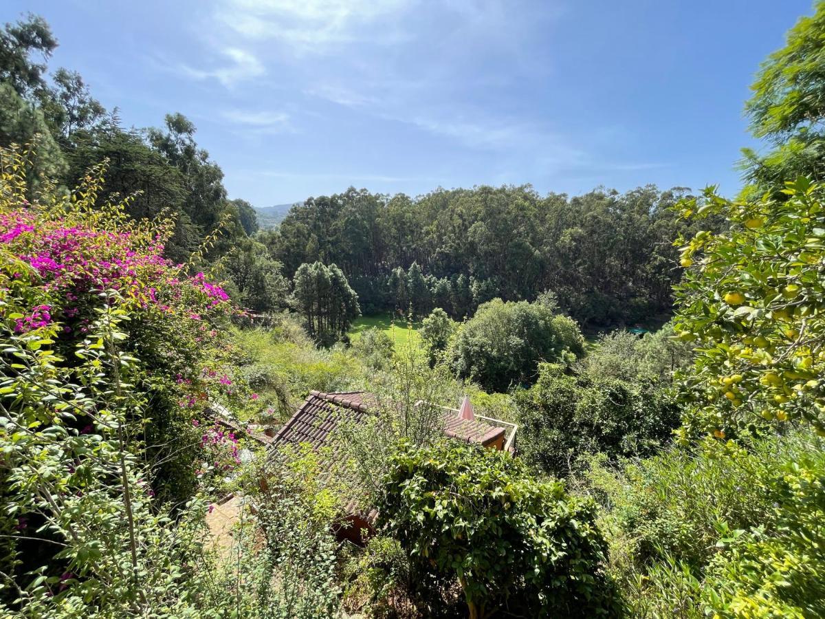 Casa Rural En Medio Del Bosque, El Lance Firgas Екстериор снимка