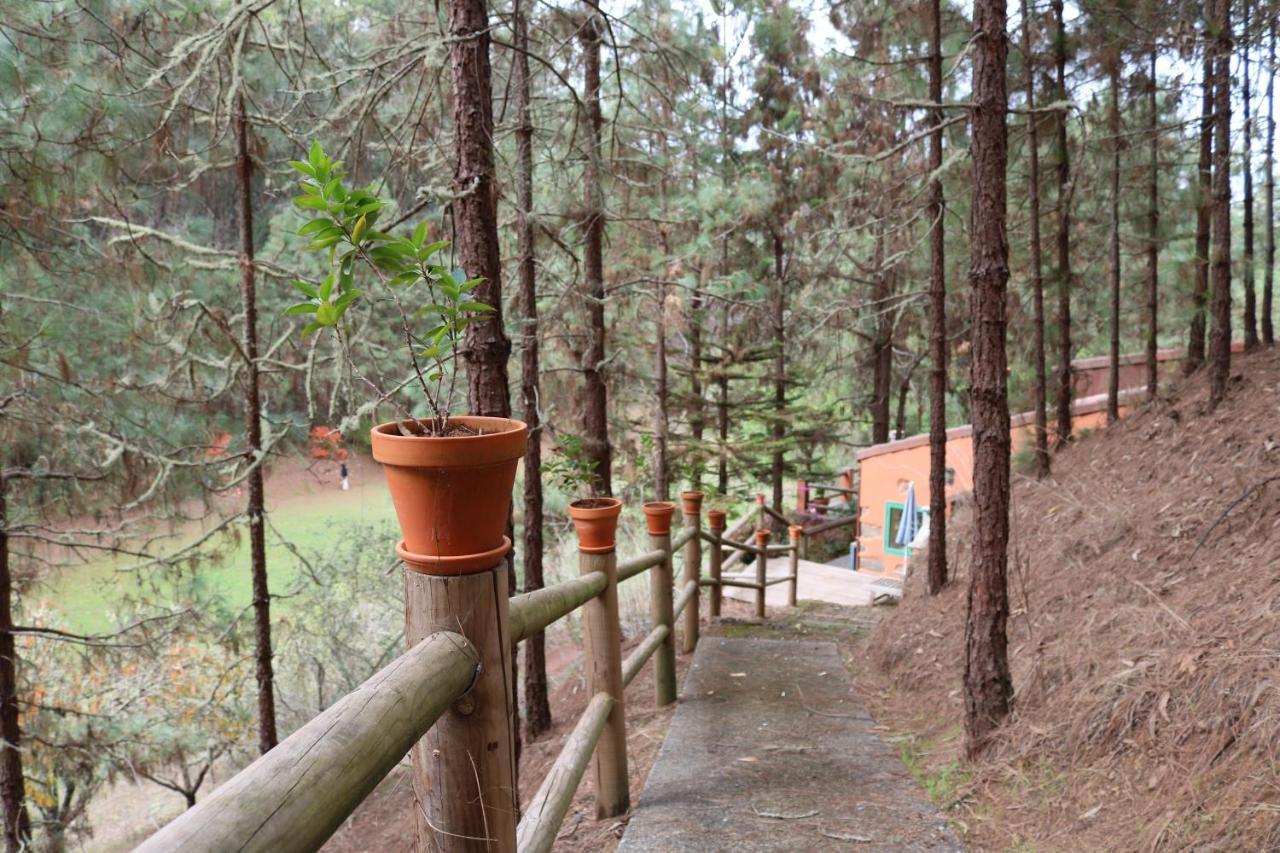 Casa Rural En Medio Del Bosque, El Lance Firgas Екстериор снимка
