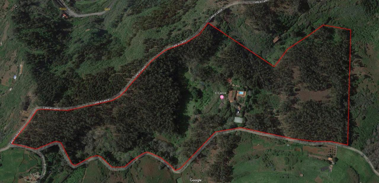 Casa Rural En Medio Del Bosque, El Lance Firgas Екстериор снимка