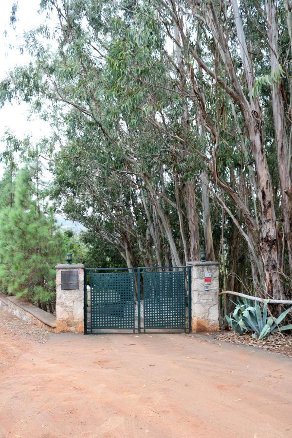 Casa Rural En Medio Del Bosque, El Lance Firgas Екстериор снимка